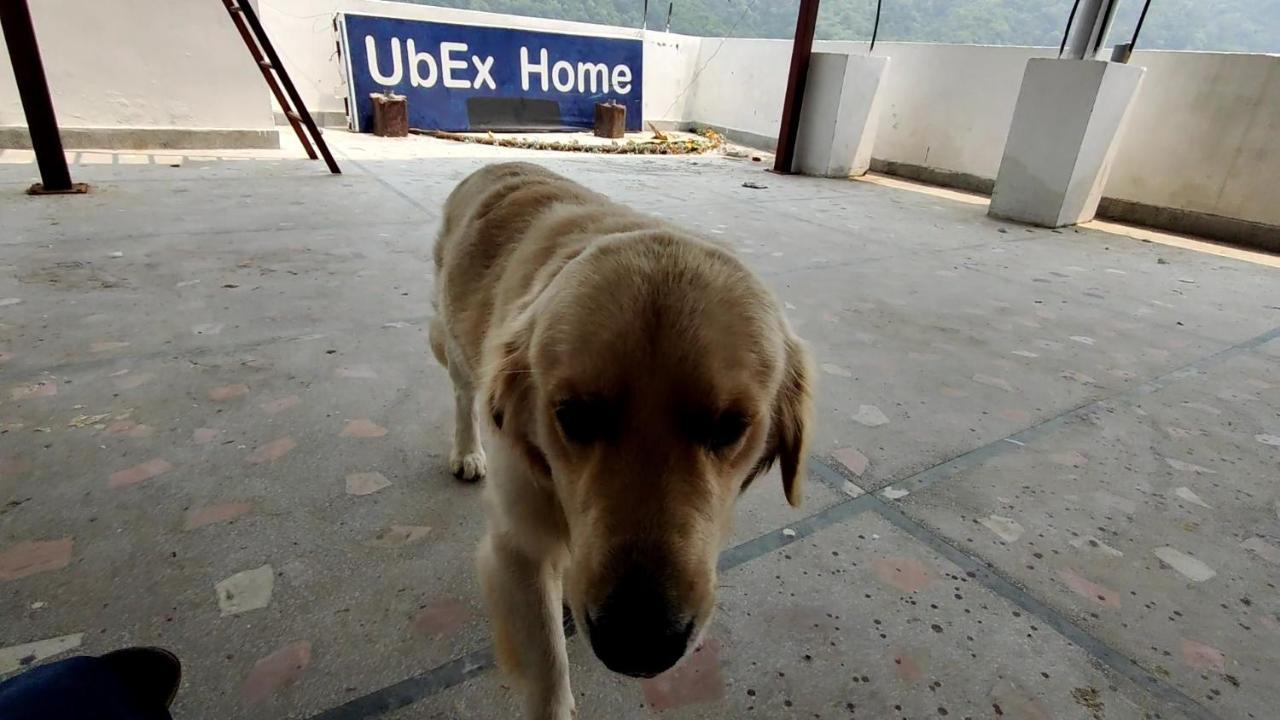Ubex Home Rishikesh Luaran gambar